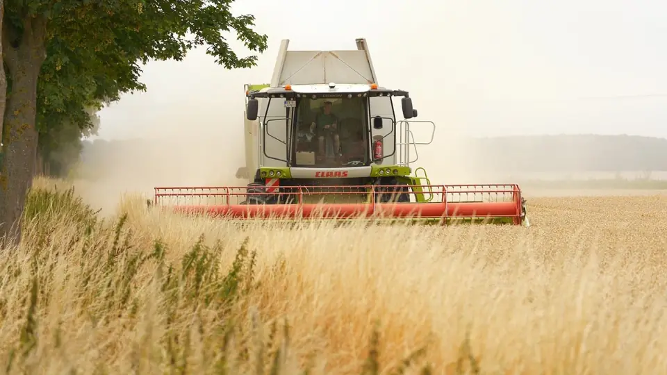 Illustration de la partie « Comprendre les filières agroalimentaires et leurs marchés » du cours Management de l'agroalimentaire — filières, marchés et innovation produit
