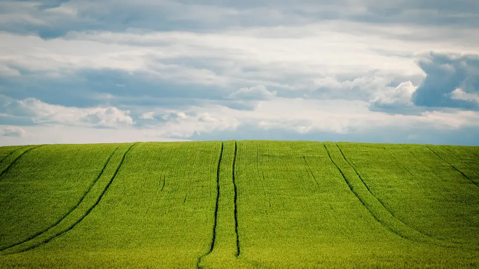Illustration de la partie « Le mur démographique et la fracture alimentaire : état des lieux factuel » du cours Nourrir 10 milliards d'humains — les futurs de l'alimentation
