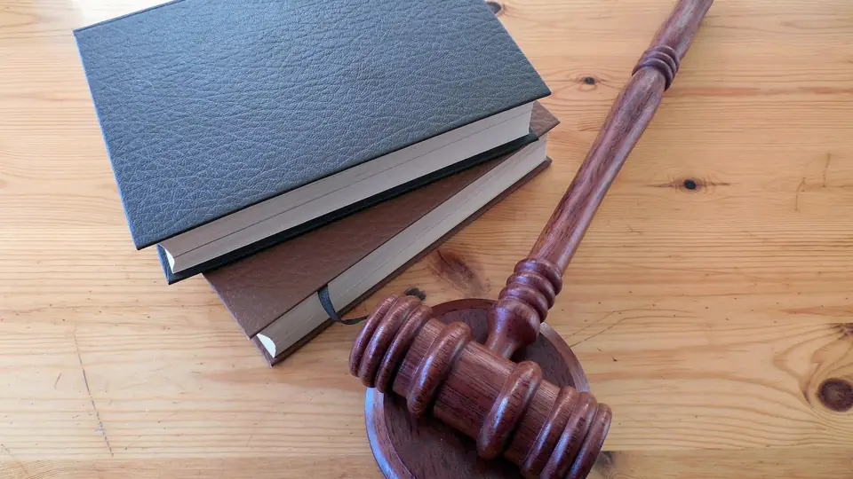 Illustration de la partie « La règle de droit et ses sources » du cours Introduction au droit : sources, preuve et organisation judiciaire