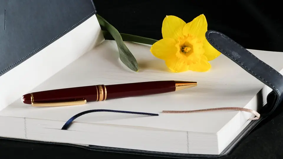 Illustration de la partie « Fondements de la partie double » du cours La partie double : débit, crédit et mécanisme d'enregistrement des écritures