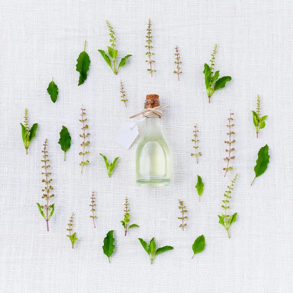 Illustration de la partie 1 : L'anatomie du parfum confidentiel